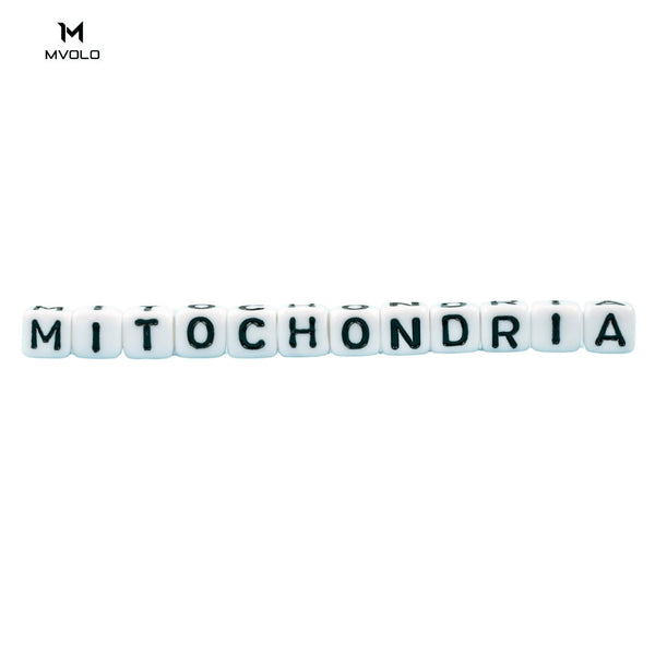 Mitochondriale Disfunctie: Symptomen, Oorzaken en Behandeling - Mvolo