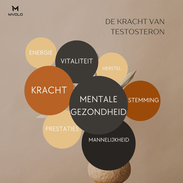 Mvolo infographic over de kracht van testosteron met begrippen als kracht, energie, vitaliteit, mentale gezondheid, stemming, herstel, prestaties en mannelijkheid